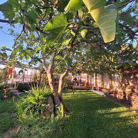 Pilgrims Rest - Vila Nova De Cerveira - Hostel - Albergue - Al Eksteriør billede