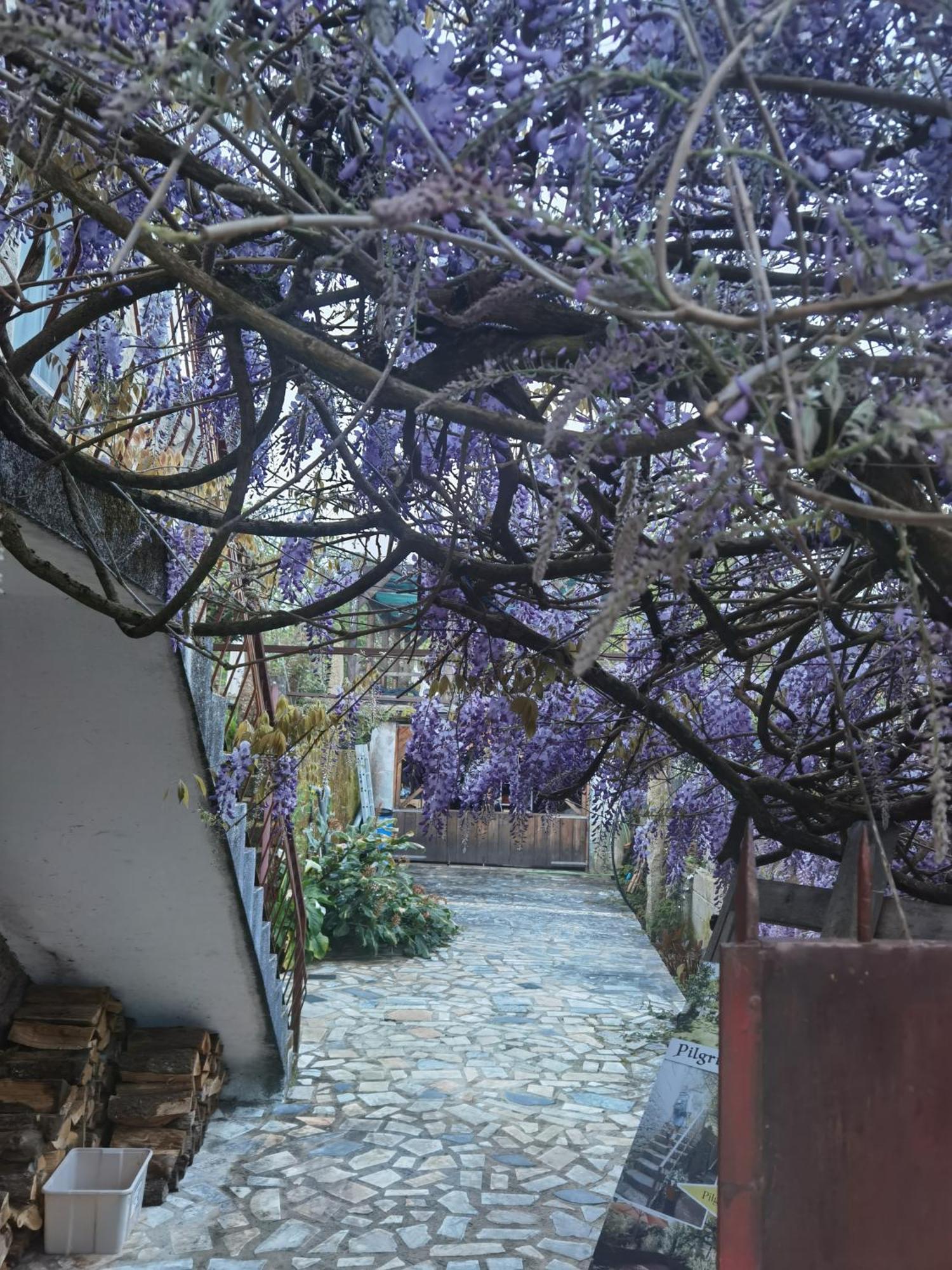 Pilgrims Rest - Vila Nova De Cerveira - Hostel - Albergue - Al Eksteriør billede